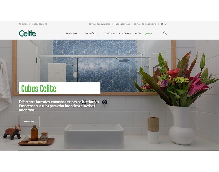Celite apresenta novo site com mais interatividade e layout moderno