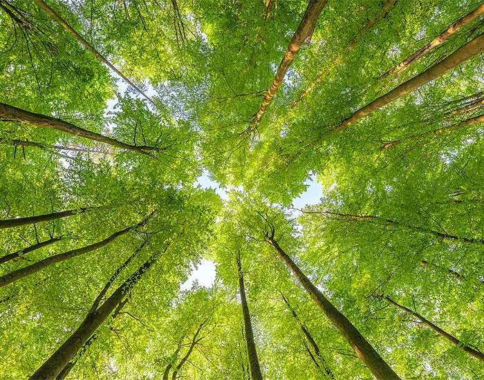 Ranking coloca a ABB entre as empresas mais sustentáveis do mundo