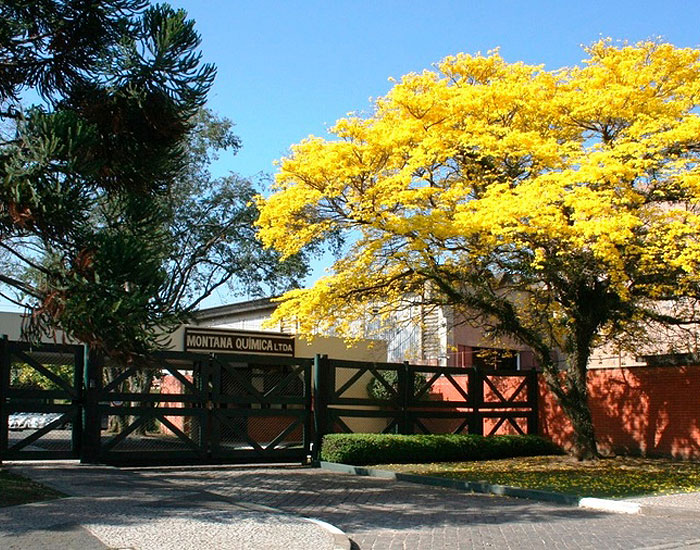 Montana Química faz ajustes internos e reestrutura sua área comercial