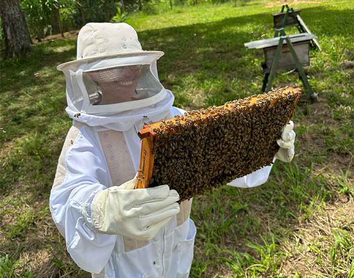 Programa de Apicultura da Eucatex passa a se chamar “Polinizar” 