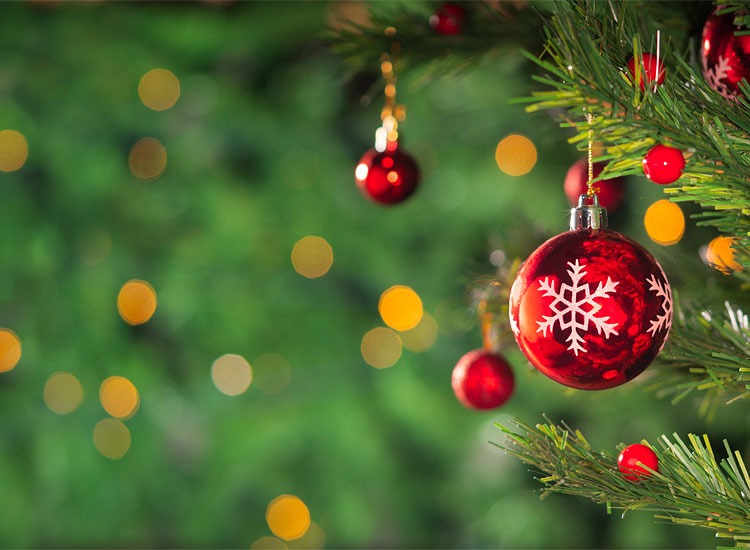 Natal 2025 pode ser o melhor em 10 anos 