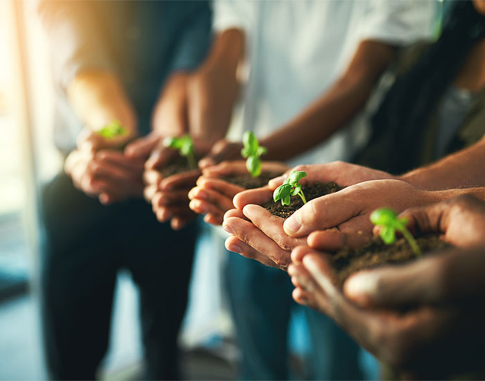 Stihl é uma das vencedores da 32ª edição do Prêmio Expressão de Ecologia 